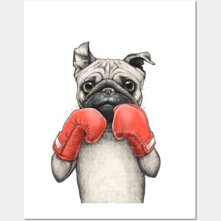 Pug boxer Posters and Art